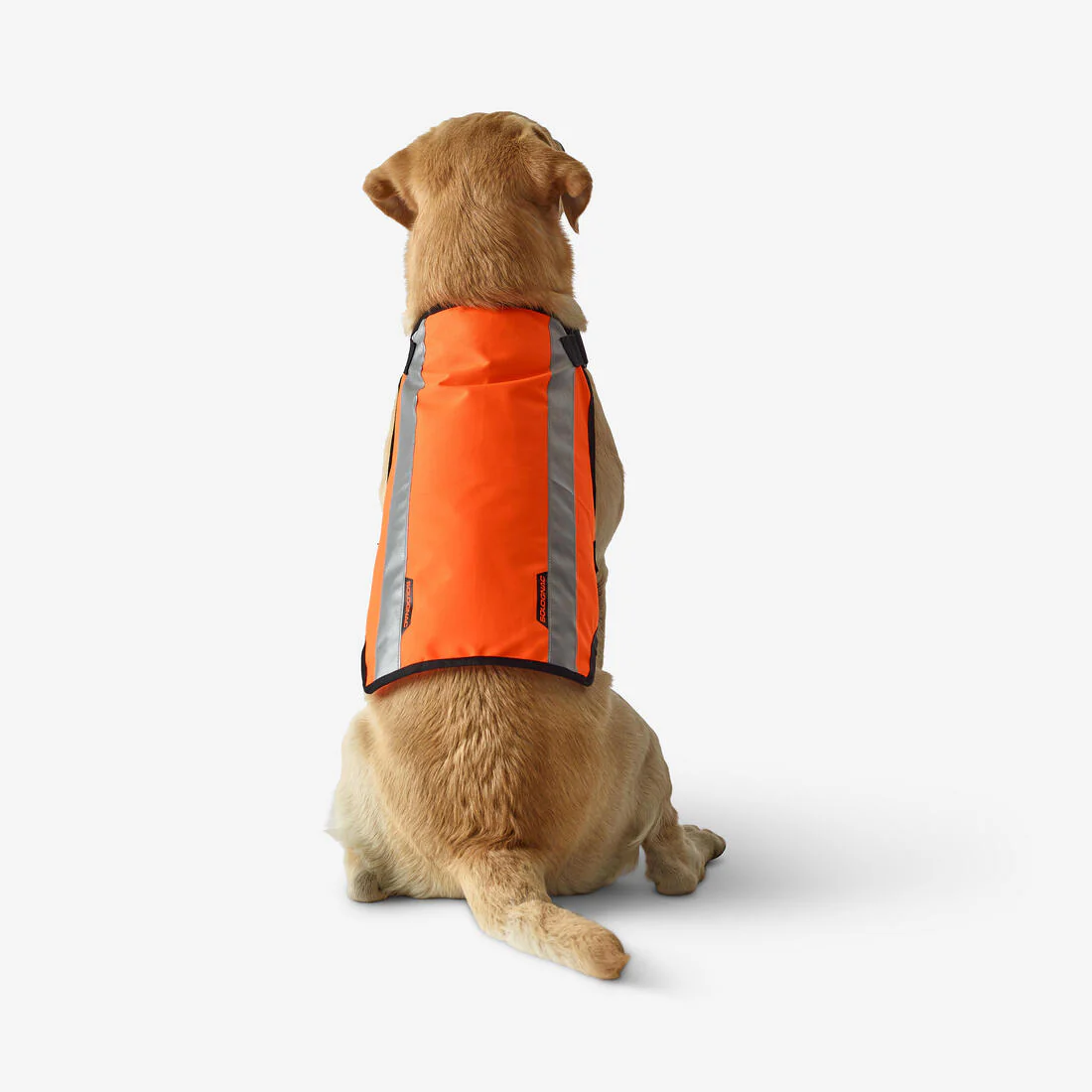 Chaleco Perro Caza Solognac 100 Naranaja Fluo - Image 2