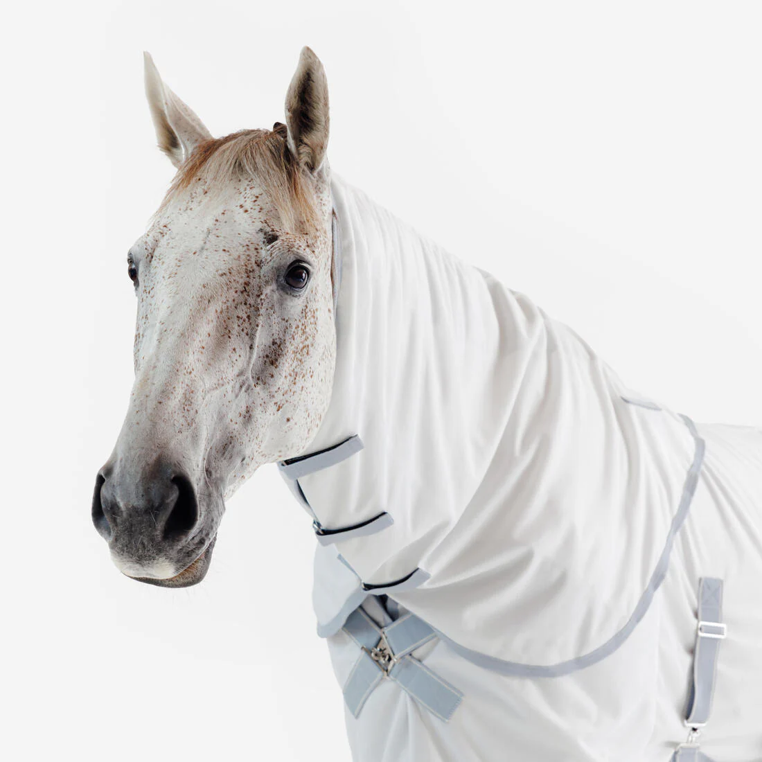 Manta Antimoscas Equitación Caballo/Poni 500 Beis - Image 10