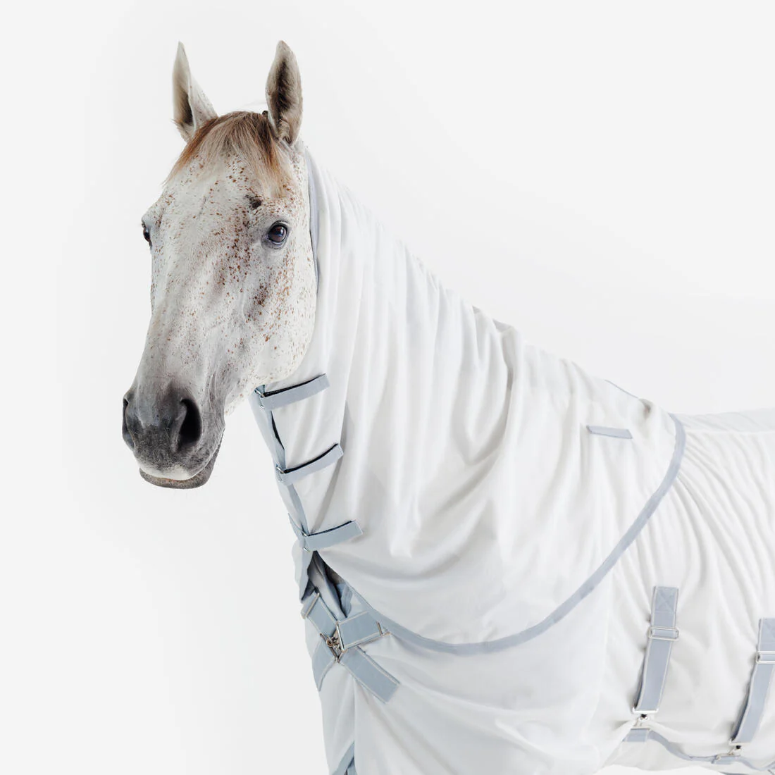 Manta Antimoscas Equitación Caballo/Poni 500 Beis - Image 12