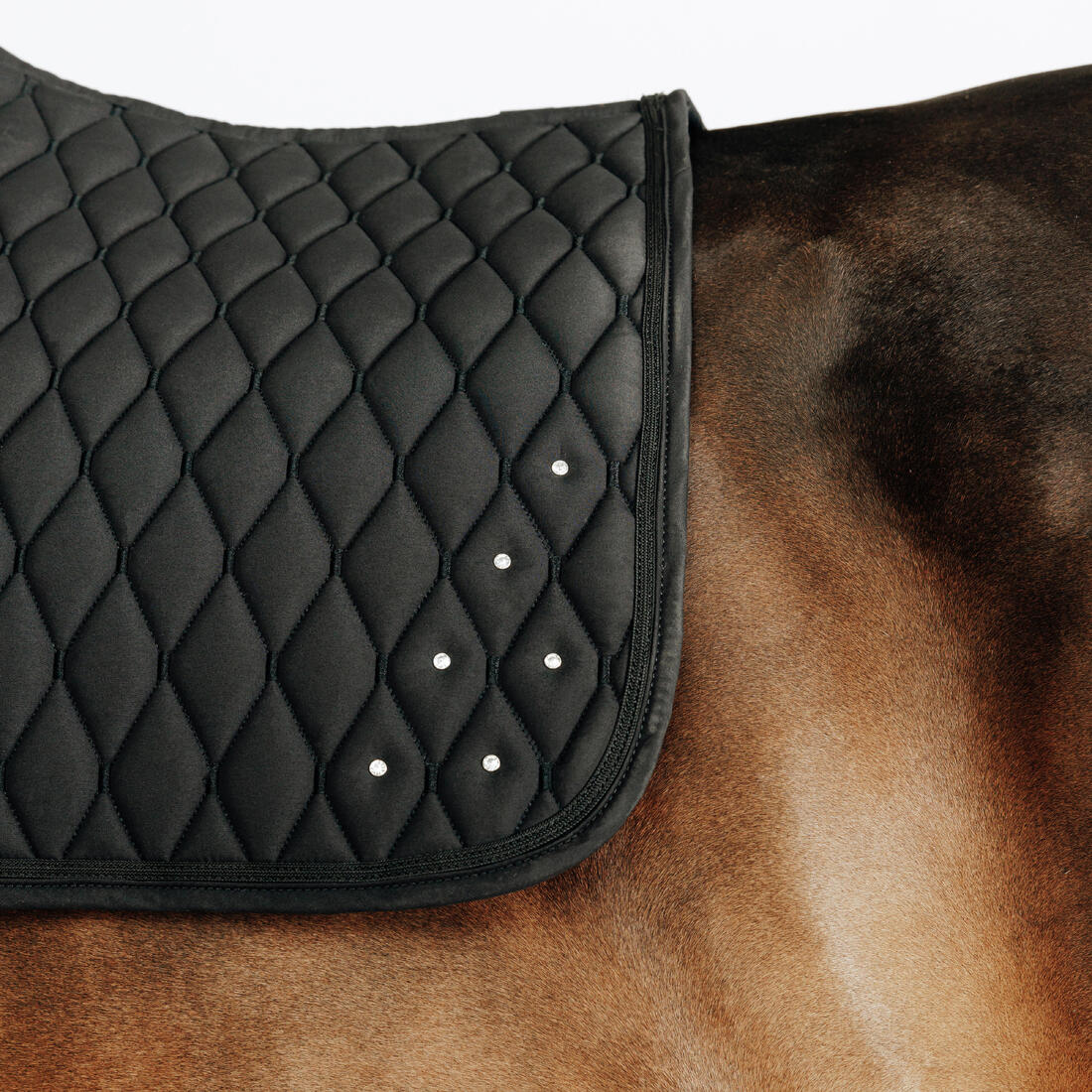 Mantilla Silla Equitación 500 Caballo Poni Negro Con Cristales Brillantes - Image 3
