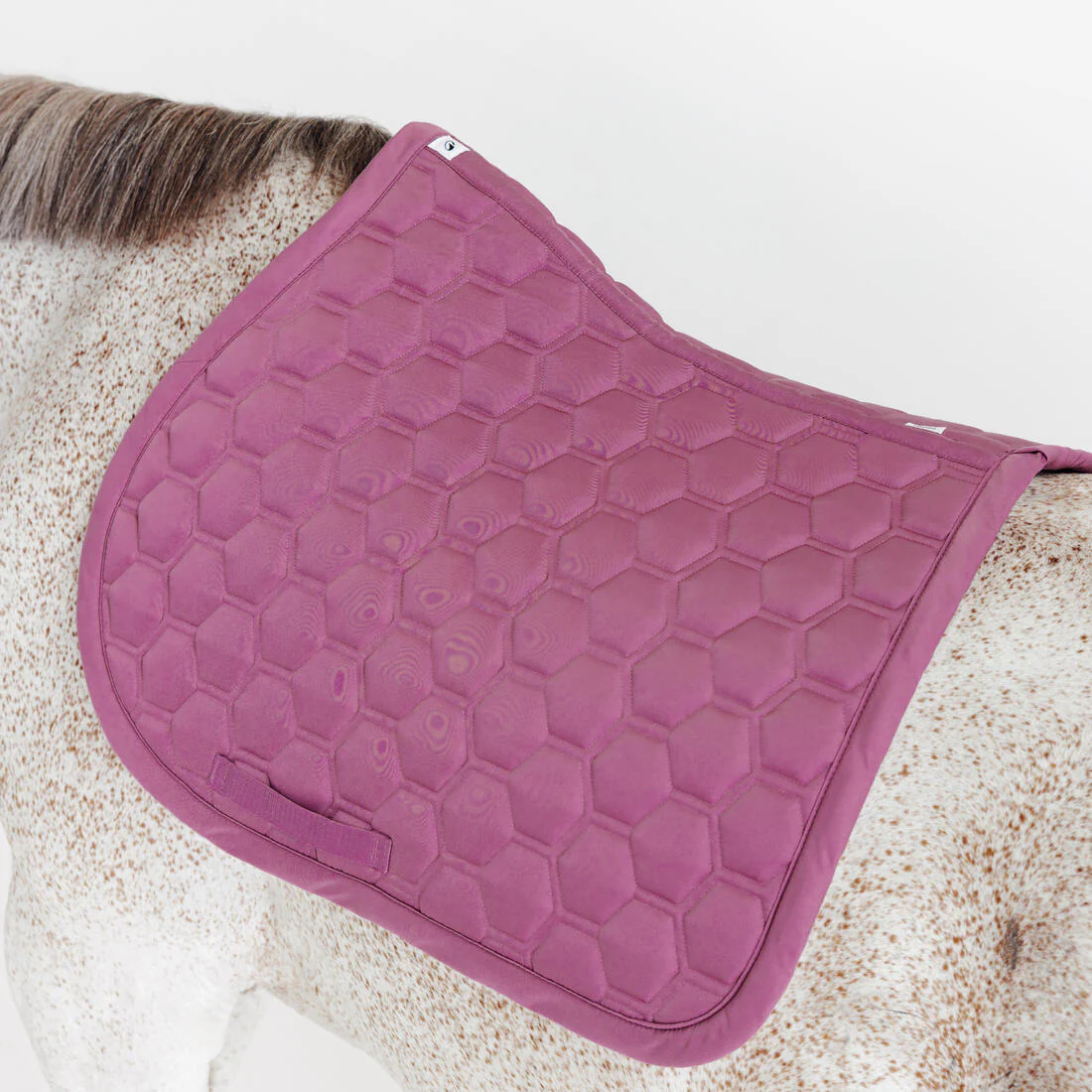 Mantilla Silla Equitación Caballo 500 - Image 12