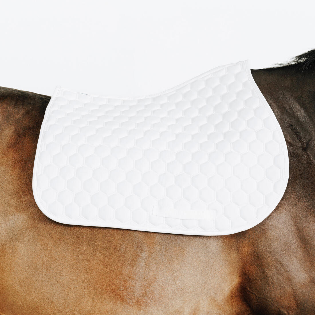 Mantilla Silla Equitación Competición 500 Blanco Caballo/Poni - Image 4