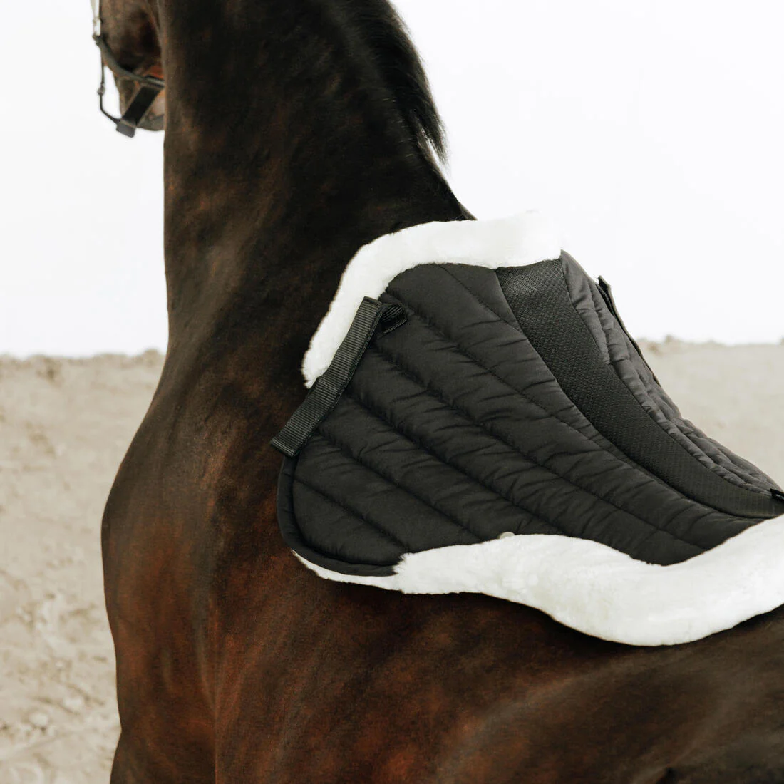 Salvacruces Equitación 900 Negro Borreguito Sintético Caballo - Image 2