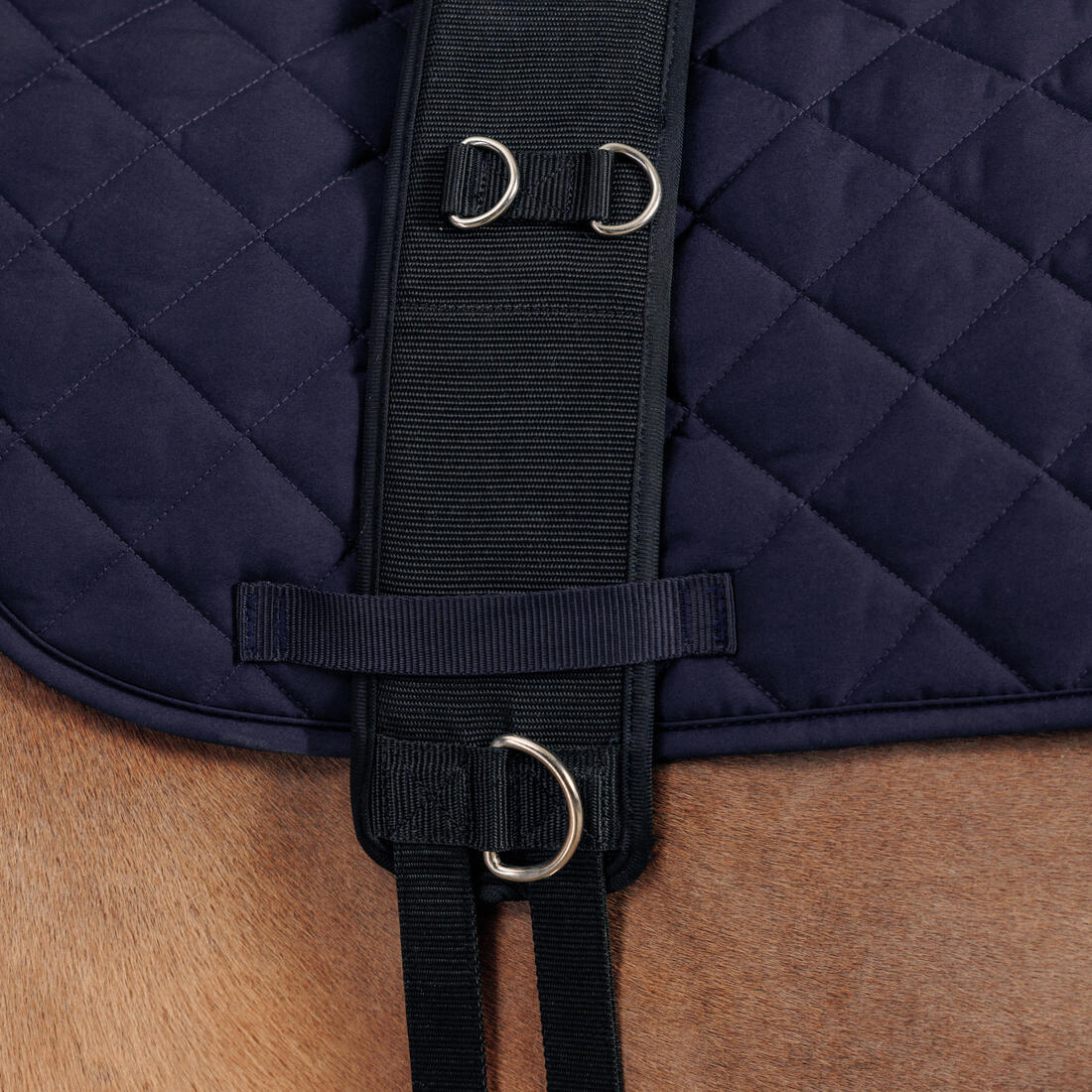 Sobrecincha Trabajo Equitación Caballo/Poni Negro - Image 2
